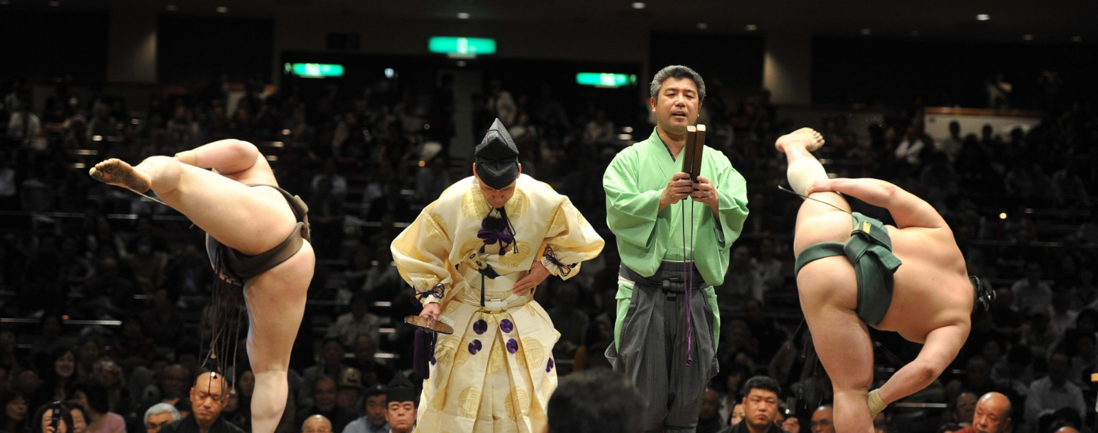 Sumo