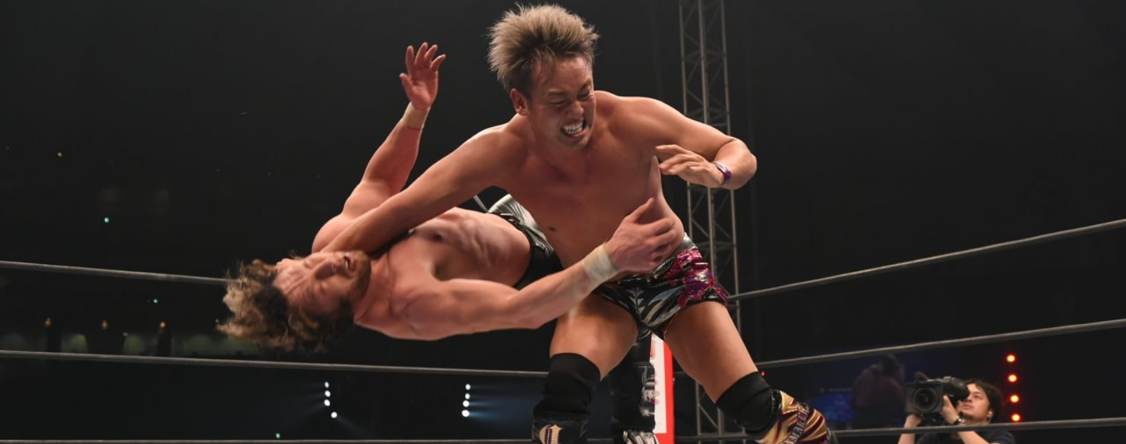 Puroresu