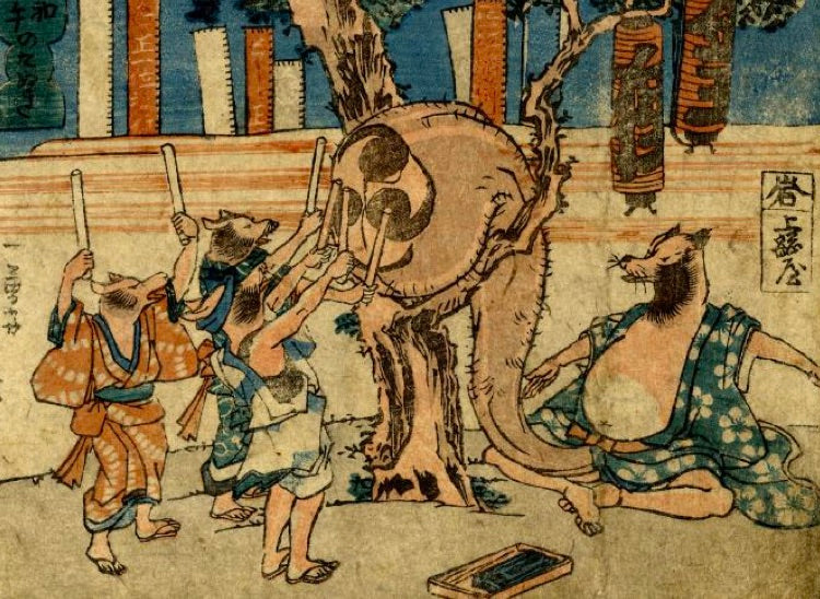 tanuki belly drum