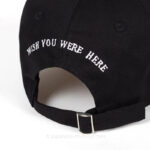 Astroworld Hat