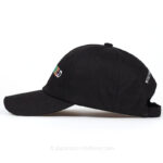 Astroworld Hat
