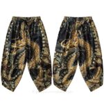 Dragon Print Pants