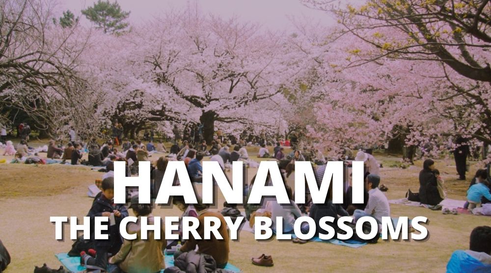Hanami