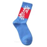 Kanji Socks