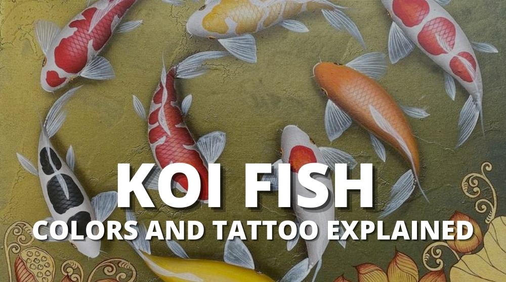koi fish meaning