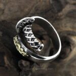 Sword Ring