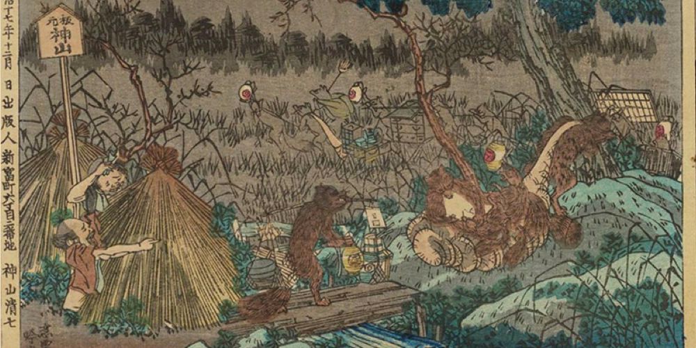 tanuki japanese folklore