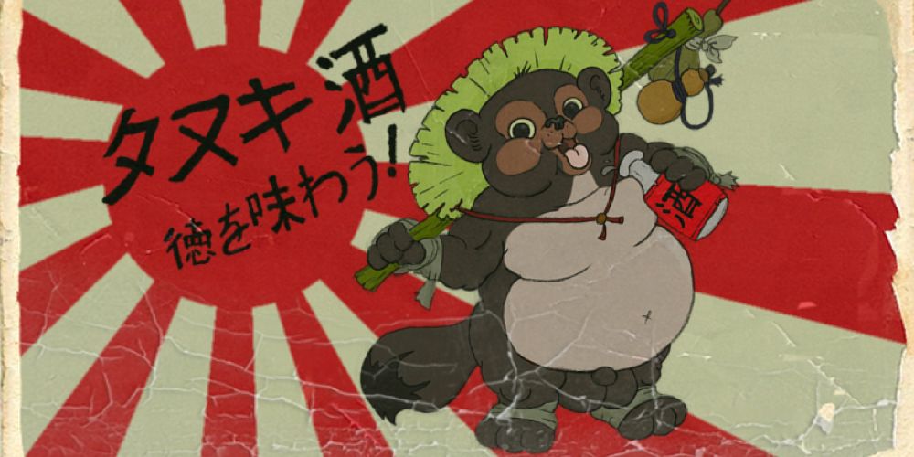 what do Tanuki look like