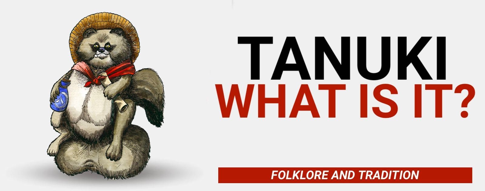 What is a Tanuki